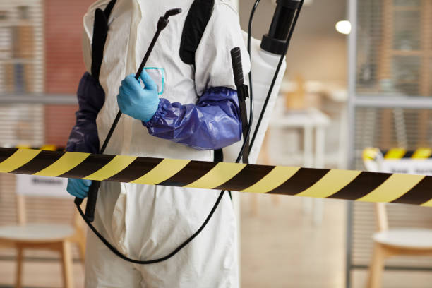 Professional Odor Removal technician working in Burlington, NC