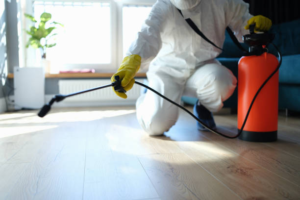 Reliable Odor Removal contractor in Burlington, NC by Crime Scene Cleaner Online